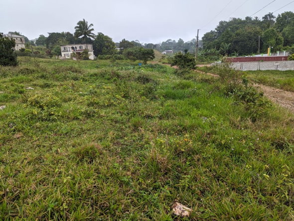 Seventh image of Lot-19 Cedar Grove in Mandeville, Manchester, Jamaica - property is For Sale