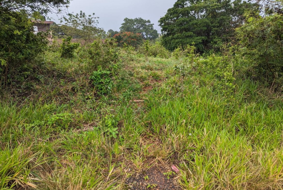 Eighth image of Lot-19 Cedar Grove in Mandeville, Manchester, Jamaica - property is For Sale