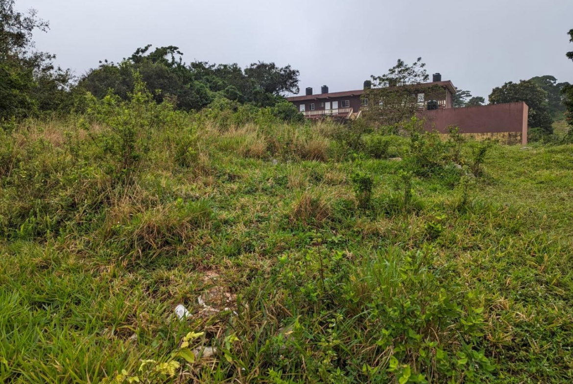 Ninth image of Lot-19 Cedar Grove in Mandeville, Manchester, Jamaica - property is For Sale