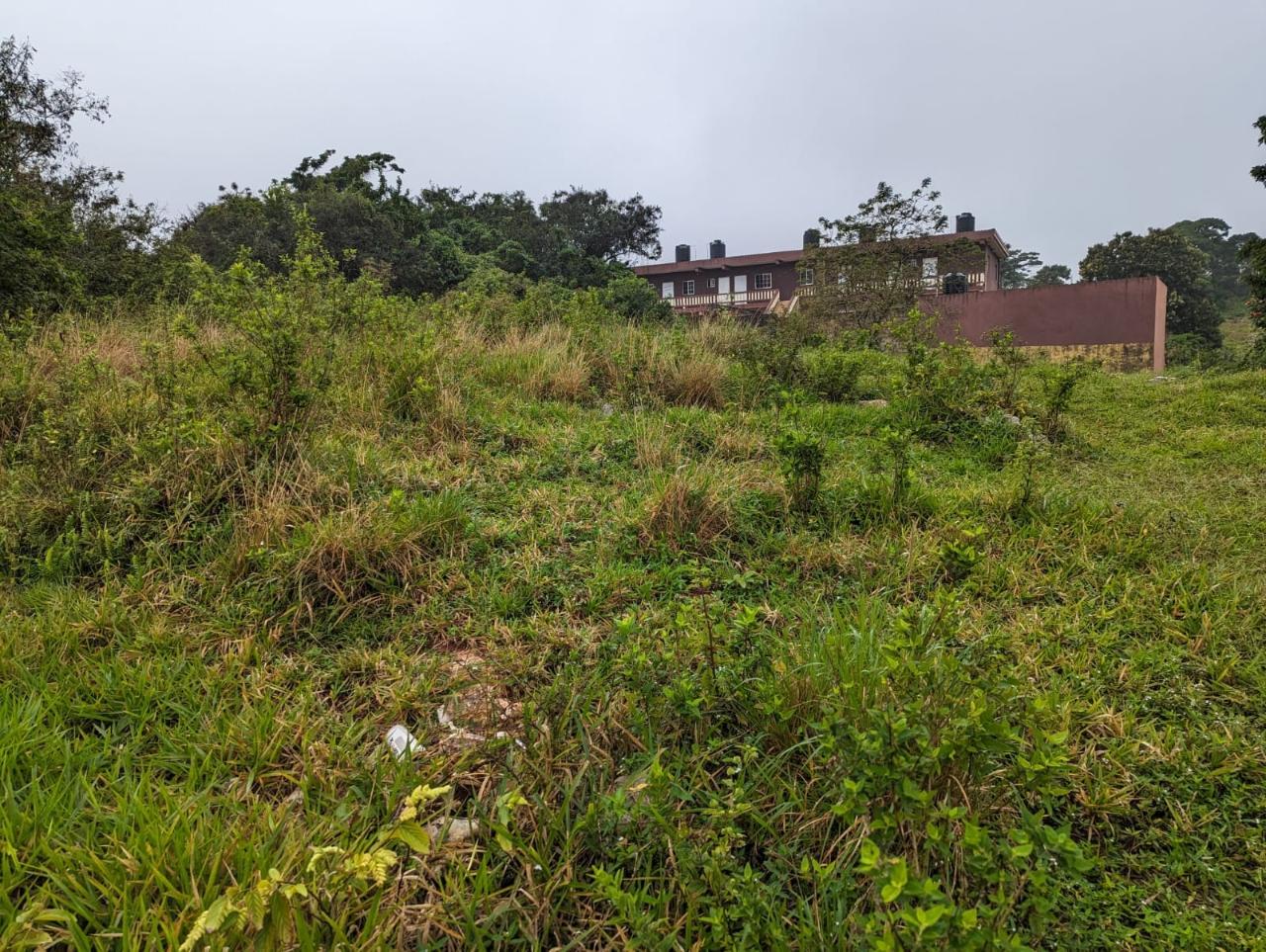 Residential-Lot-for-Sale-in-Jamaica-Lot-19-Cedar-Grove Ninth image of Lot-19 Cedar Grove in Mandeville, Manchester, Jamaica - property is For Sale