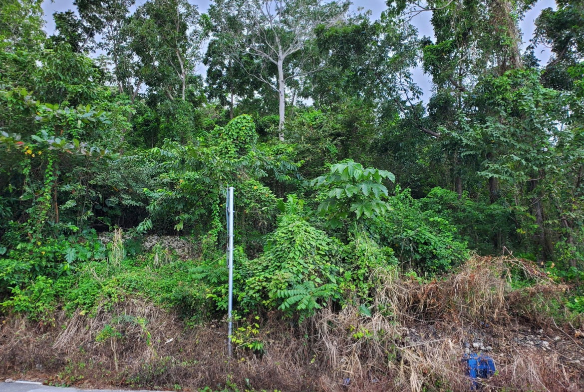 First image of Lot #1 a4 Ross Craig, Manchionea in Manchioneal, Portland, Jamaica - property is For Sale