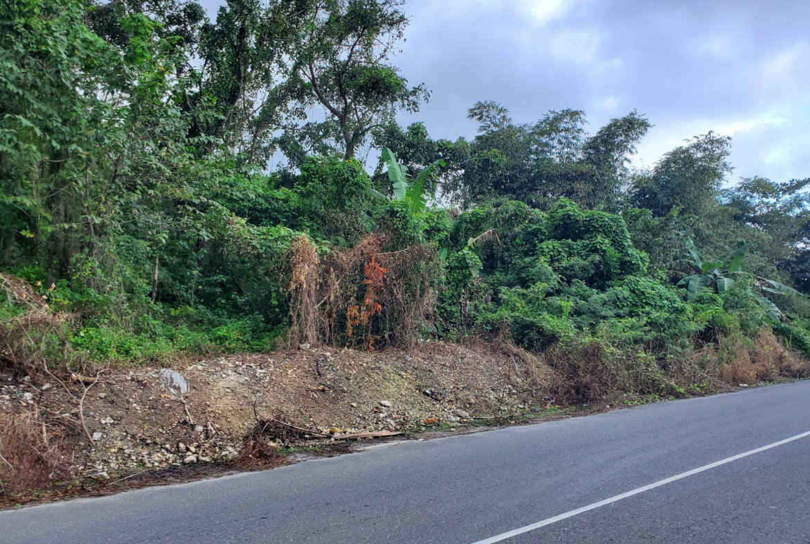 Third image of Lot #1 a4 Ross Craig, Manchionea in Manchioneal, Portland, Jamaica - property is For Sale