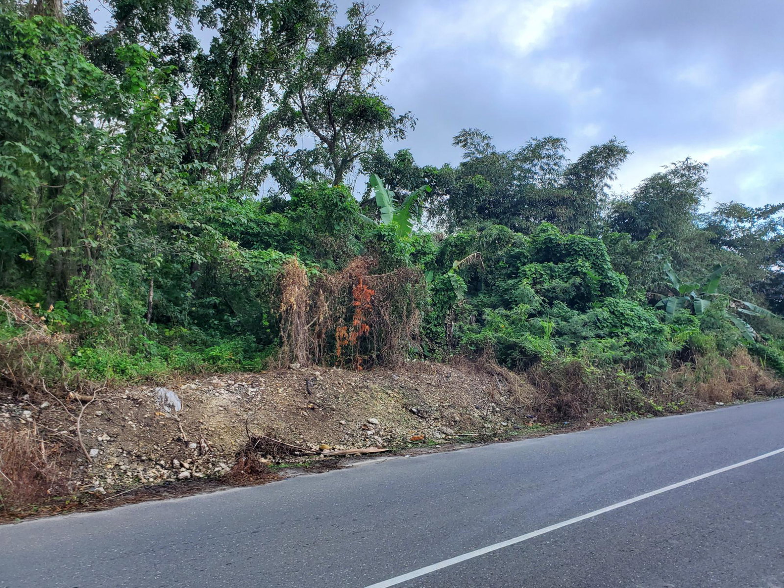 Residential-Lot-for-Sale-in-Manchioneal-Portland-Jamaica Third image of Lot #1 a4 Ross Craig, Manchionea in Manchioneal, Portland, Jamaica - property is For Sale