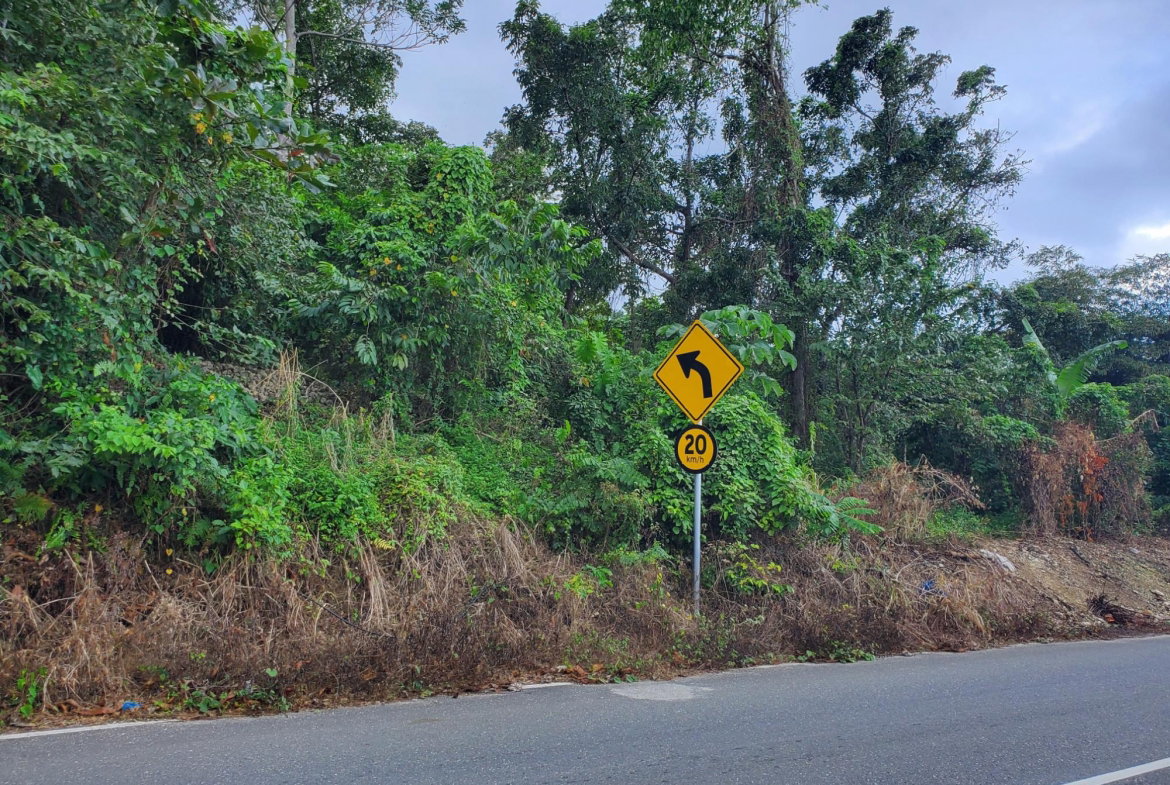 Fourth image of Lot #1 a4 Ross Craig, Manchionea in Manchioneal, Portland, Jamaica - property is For Sale