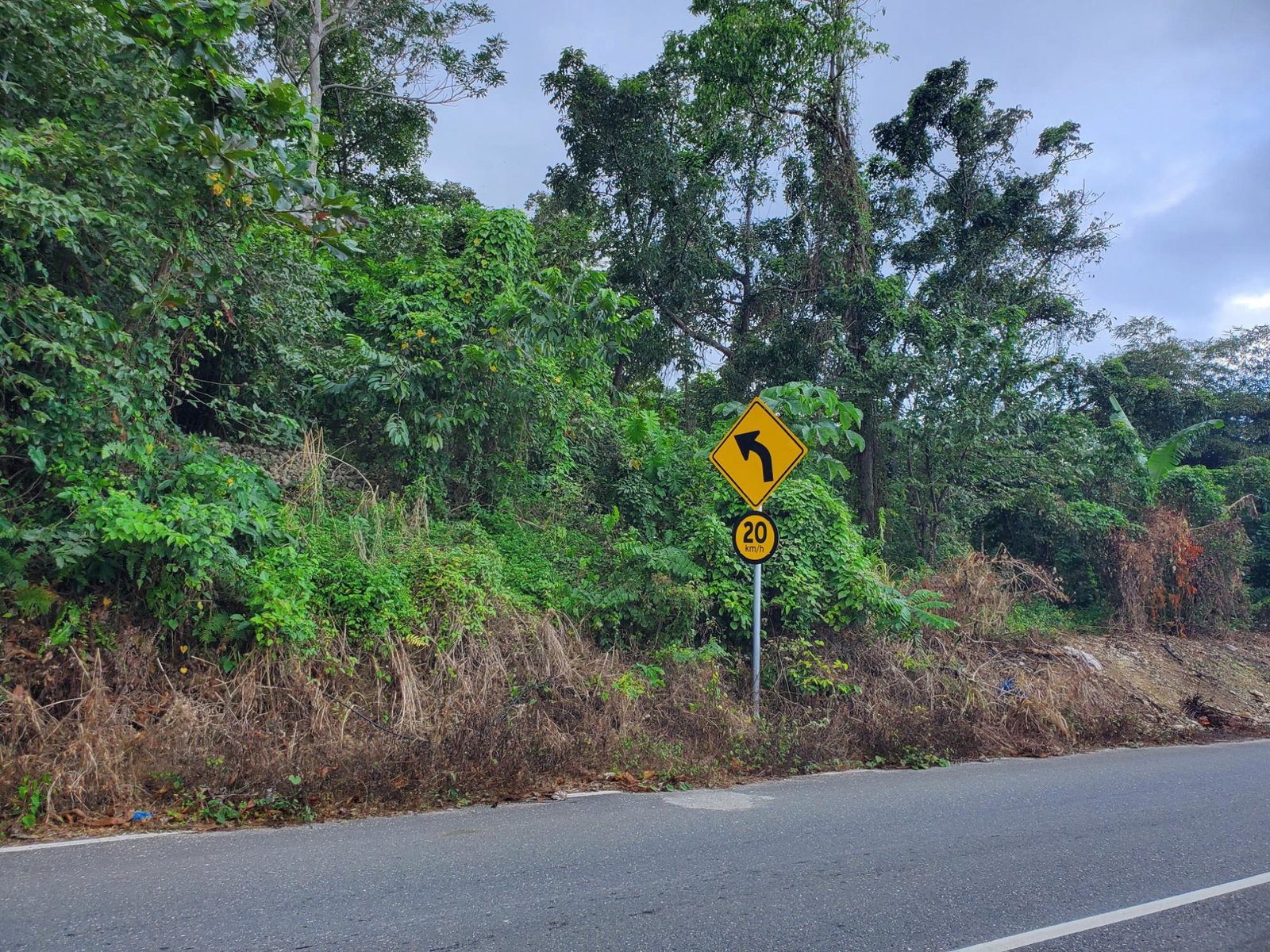 Residential-Lot-for-Sale-in-Manchioneal-Portland-Jamaica Fourth image of Lot #1 a4 Ross Craig, Manchionea in Manchioneal, Portland, Jamaica - property is For Sale
