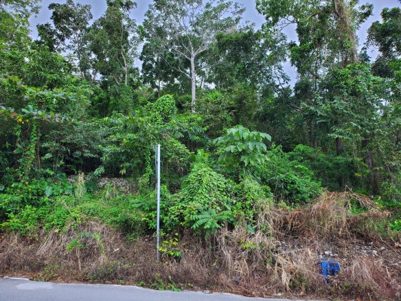 First image of Lot #1 a4 Ross Craig, Manchionea in Manchioneal, Portland, Jamaica - property is For Sale