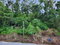 First image of Lot #1 a4 Ross Craig, Manchionea in Manchioneal, Portland, Jamaica - property is For Sale