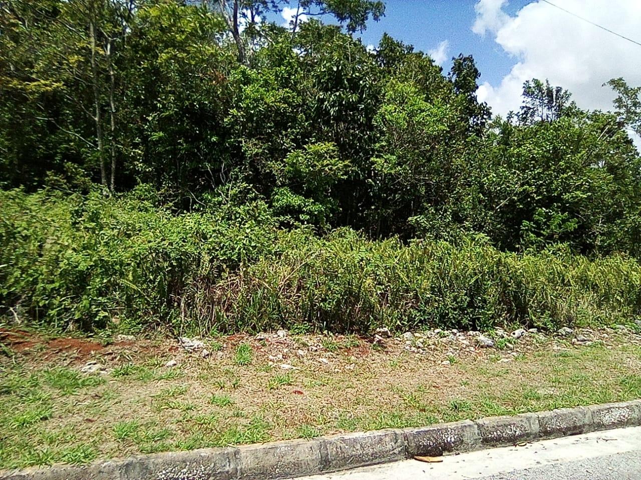 Third image of Lot 440 Moorland Manor, Phase 3a in Moorlands Phase 3, Manchester, Jamaica - property is For Sale