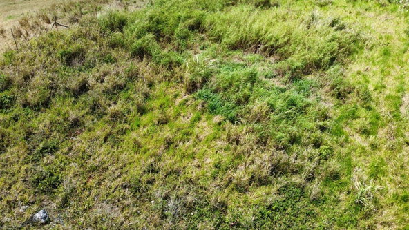 Eleventh image of Lot 413 New Wales in Mandeville, Manchester, Jamaica - property is For Sale