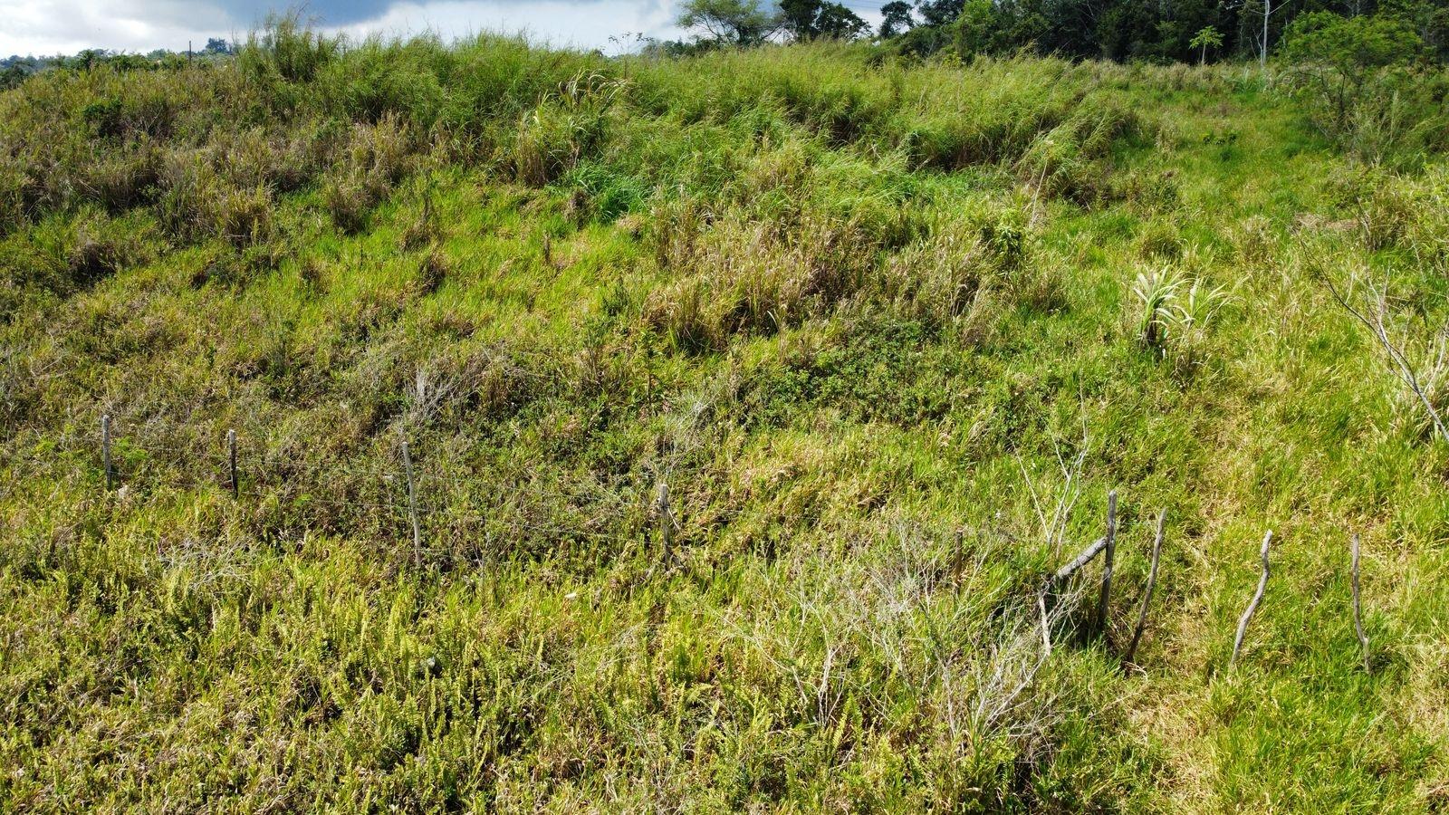 Twelfth image of Lot 413 New Wales in Mandeville, Manchester, Jamaica - property is For Sale