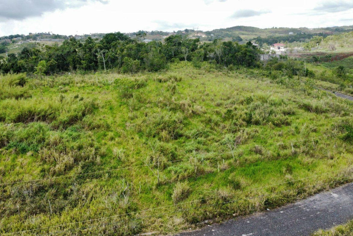 First image of Lot 413 New Wales in Mandeville, Manchester, Jamaica - property is For Sale