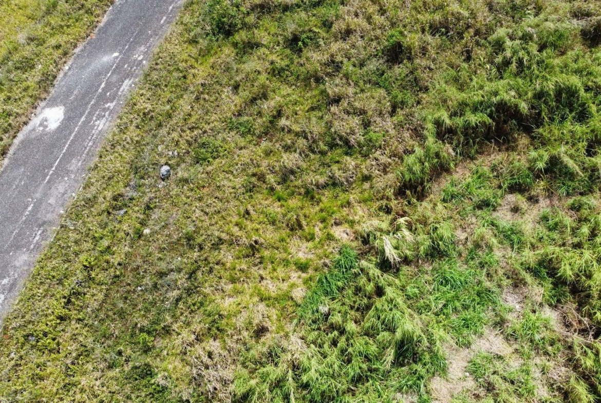 Thirteenth image of Lot 413 New Wales in Mandeville, Manchester, Jamaica - property is For Sale