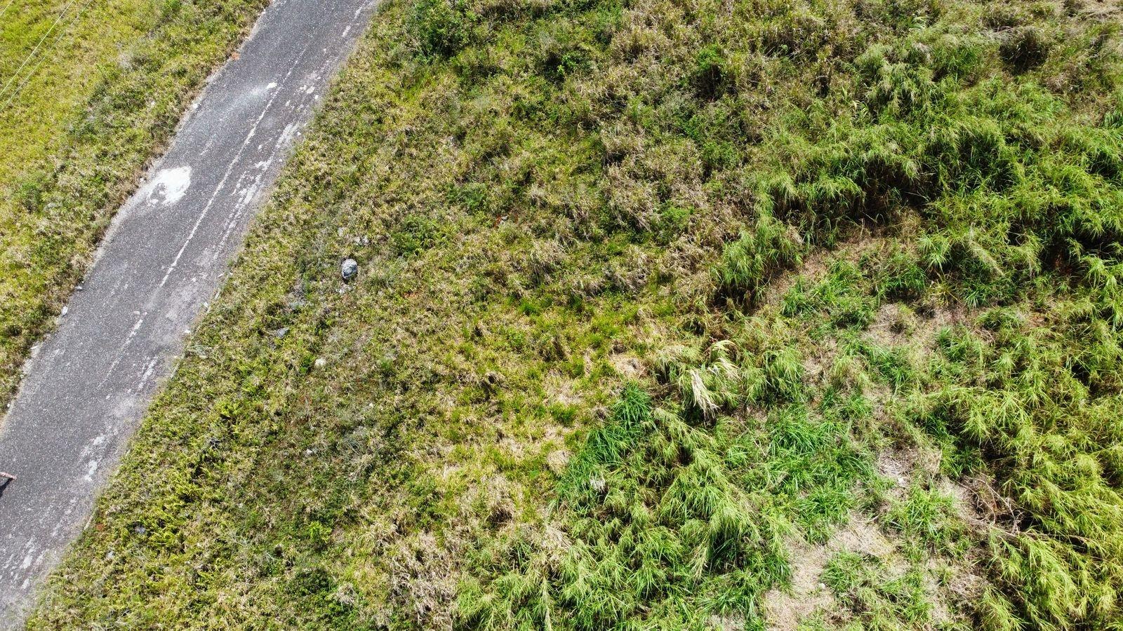 Thirteenth image of Lot 413 New Wales in Mandeville, Manchester, Jamaica - property is For Sale