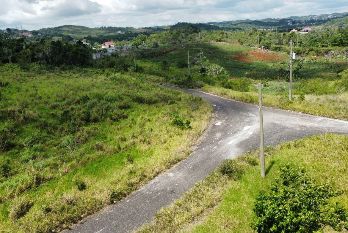 Fifteenth image of Lot 413 New Wales in Mandeville, Manchester, Jamaica - property is For Sale
