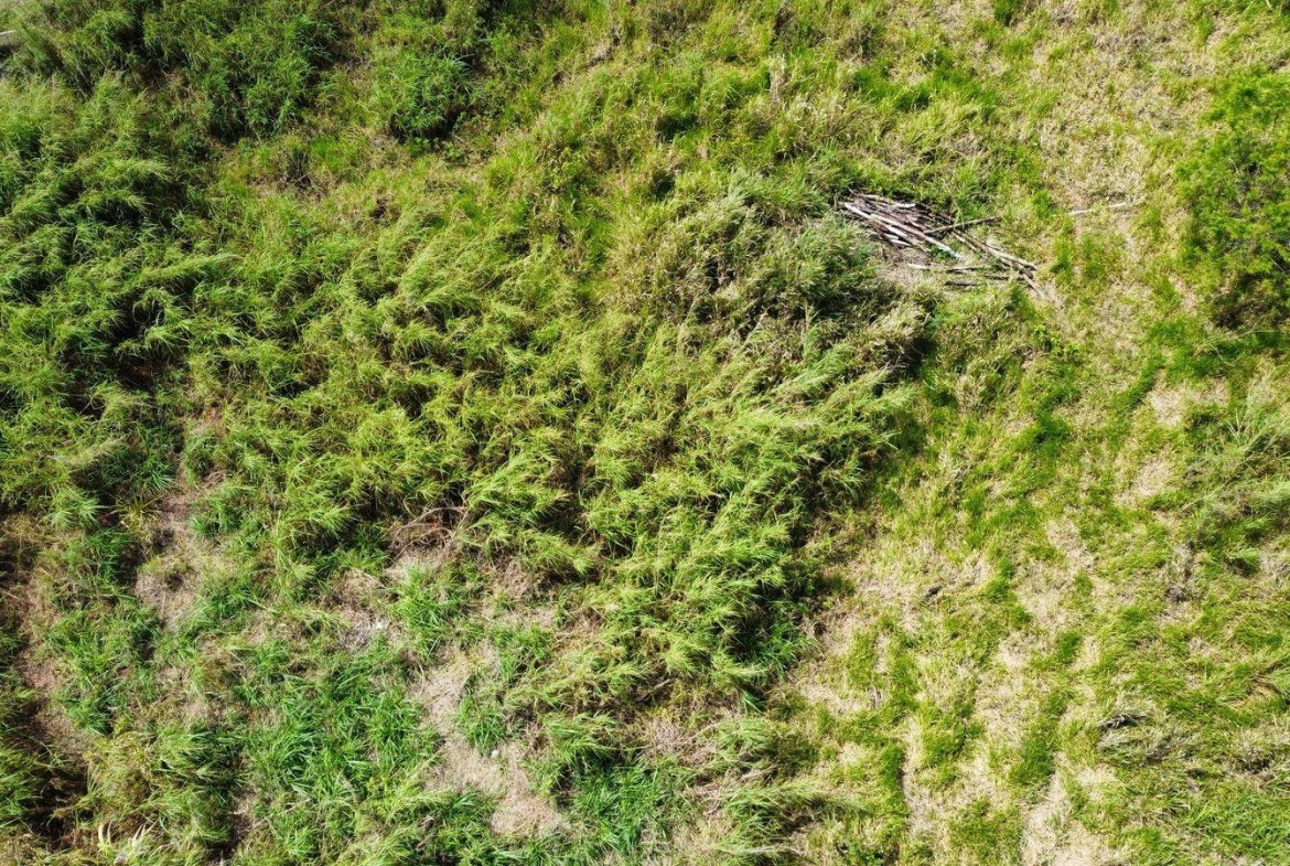 Sixteenth image of Lot 413 New Wales in Mandeville, Manchester, Jamaica - property is For Sale