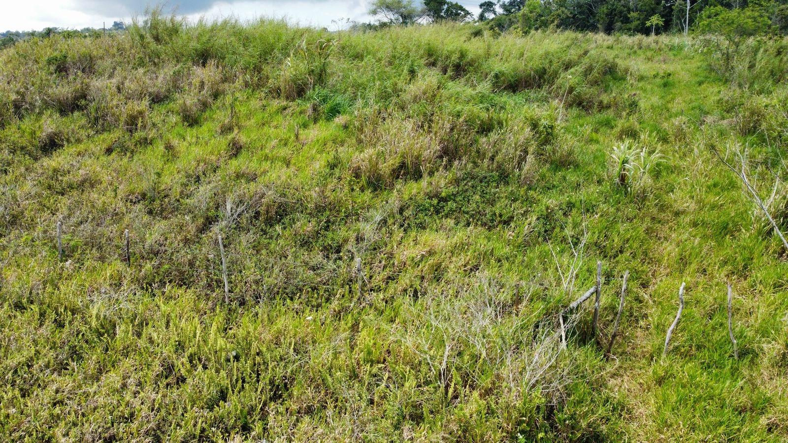 Eighteenth image of Lot 413 New Wales in Mandeville, Manchester, Jamaica - property is For Sale