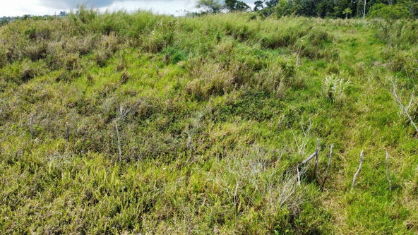 Eighteenth image of Lot 413 New Wales in Mandeville, Manchester, Jamaica - property is For Sale