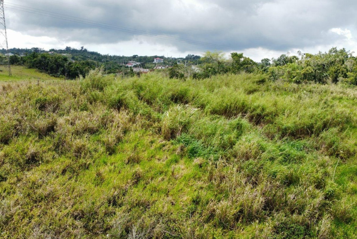 Fourth image of Lot 413 New Wales in Mandeville, Manchester, Jamaica - property is For Sale