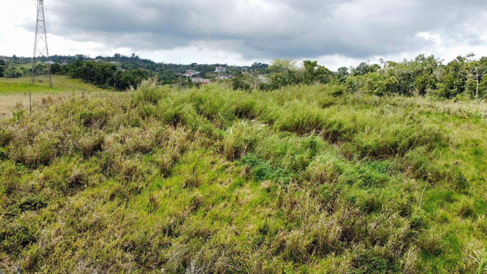 Fourth image of Lot 413 New Wales in Mandeville, Manchester, Jamaica - property is For Sale