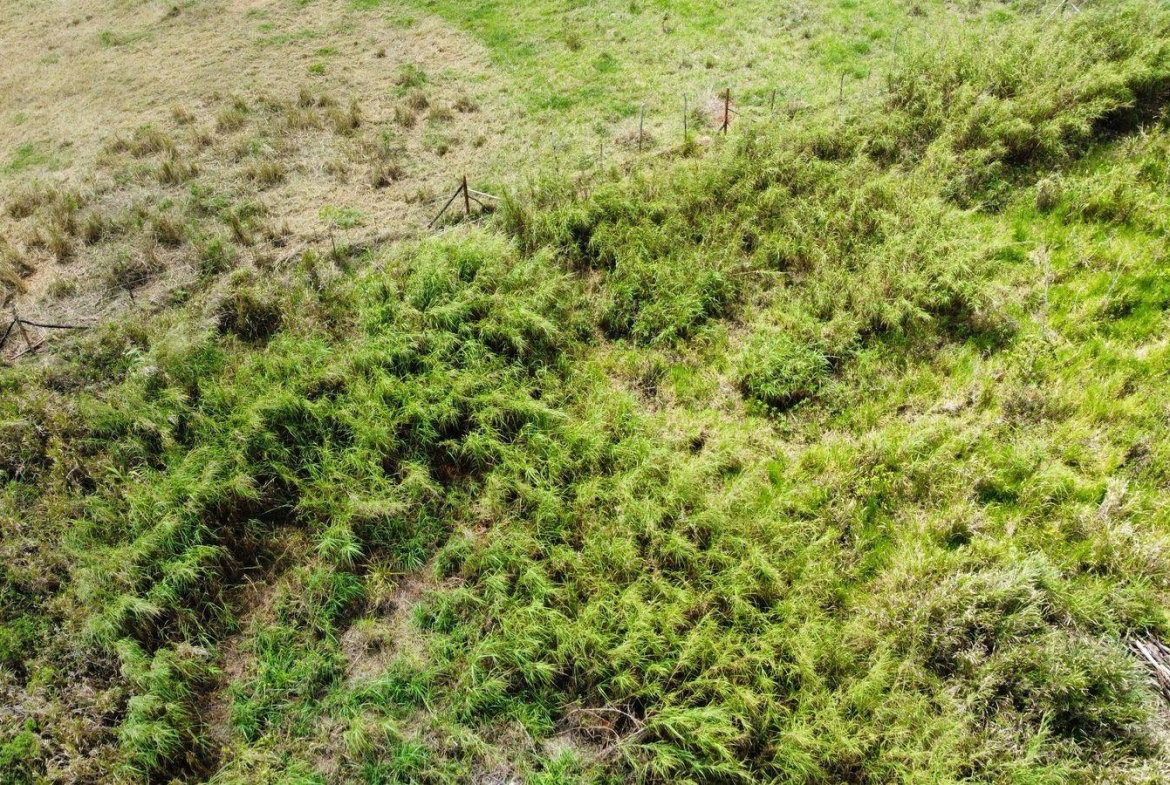 Fifth image of Lot 413 New Wales in Mandeville, Manchester, Jamaica - property is For Sale