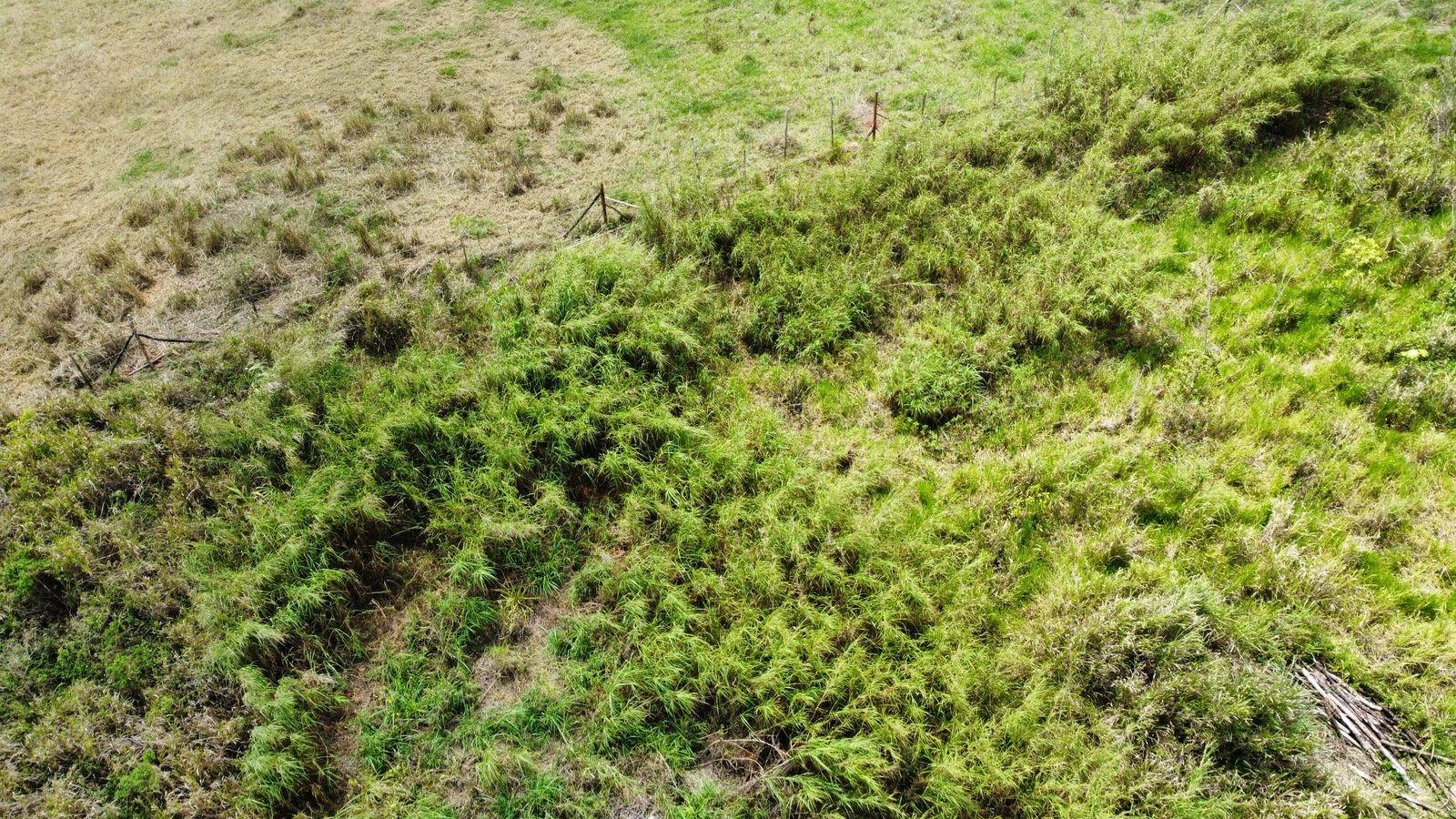 Fifth image of Lot 413 New Wales in Mandeville, Manchester, Jamaica - property is For Sale