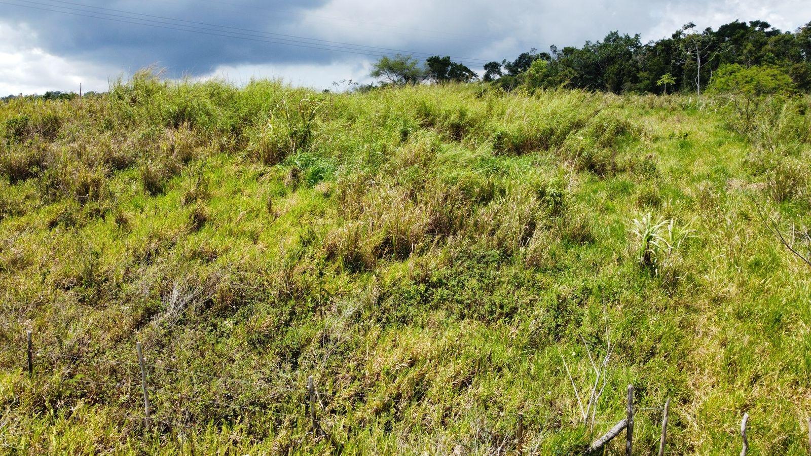 Sixth image of Lot 413 New Wales in Mandeville, Manchester, Jamaica - property is For Sale