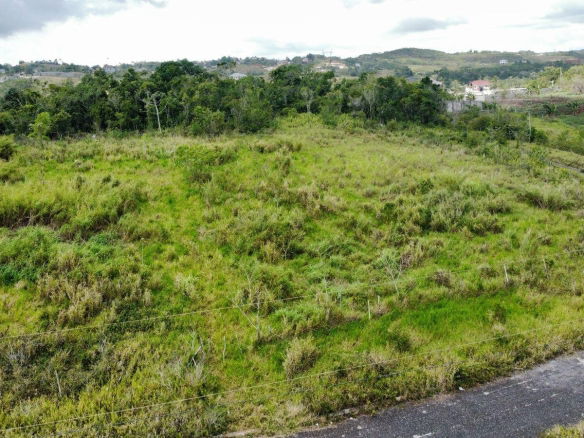 First image of Lot 413 New Wales in Mandeville, Manchester, Jamaica - property is For Sale