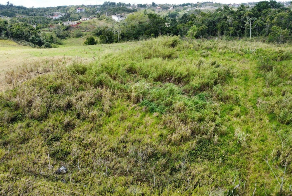 Seventh image of Lot 413 New Wales in Mandeville, Manchester, Jamaica - property is For Sale