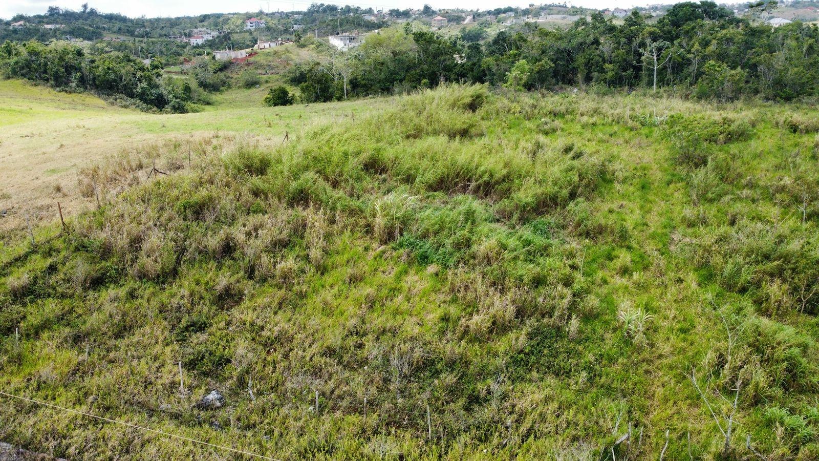 Seventh image of Lot 413 New Wales in Mandeville, Manchester, Jamaica - property is For Sale