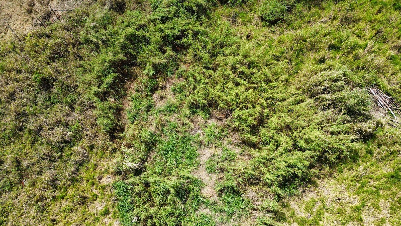 Eighth image of Lot 413 New Wales in Mandeville, Manchester, Jamaica - property is For Sale