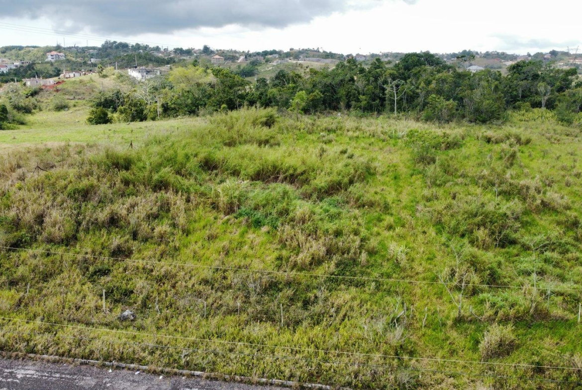 Ninth image of Lot 413 New Wales in Mandeville, Manchester, Jamaica - property is For Sale