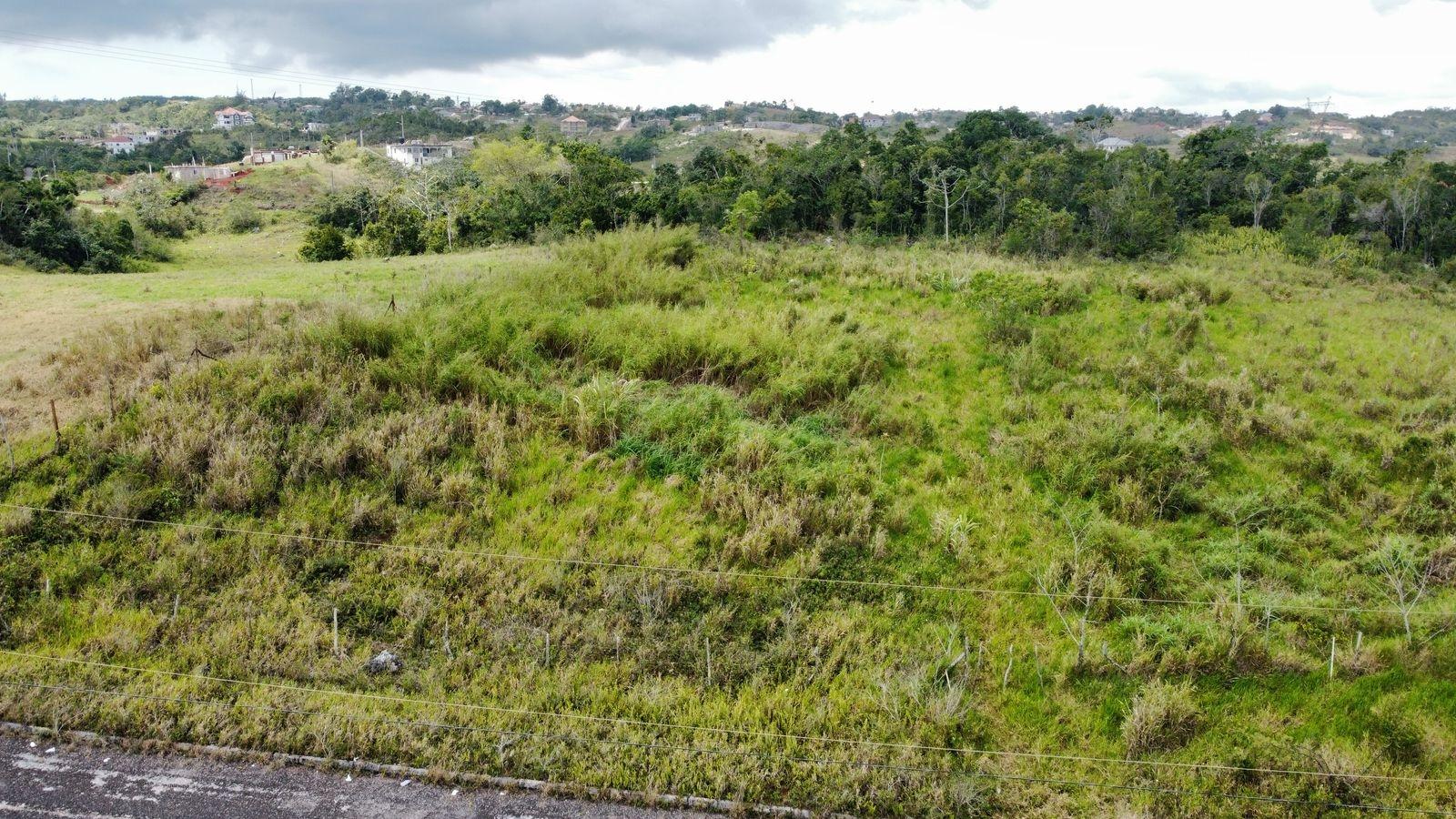 Ninth image of Lot 413 New Wales in Mandeville, Manchester, Jamaica - property is For Sale