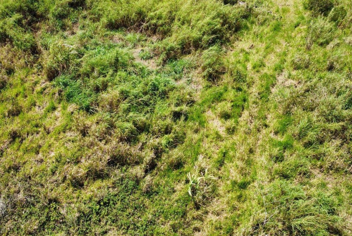 Tenth image of Lot 413 New Wales in Mandeville, Manchester, Jamaica - property is For Sale