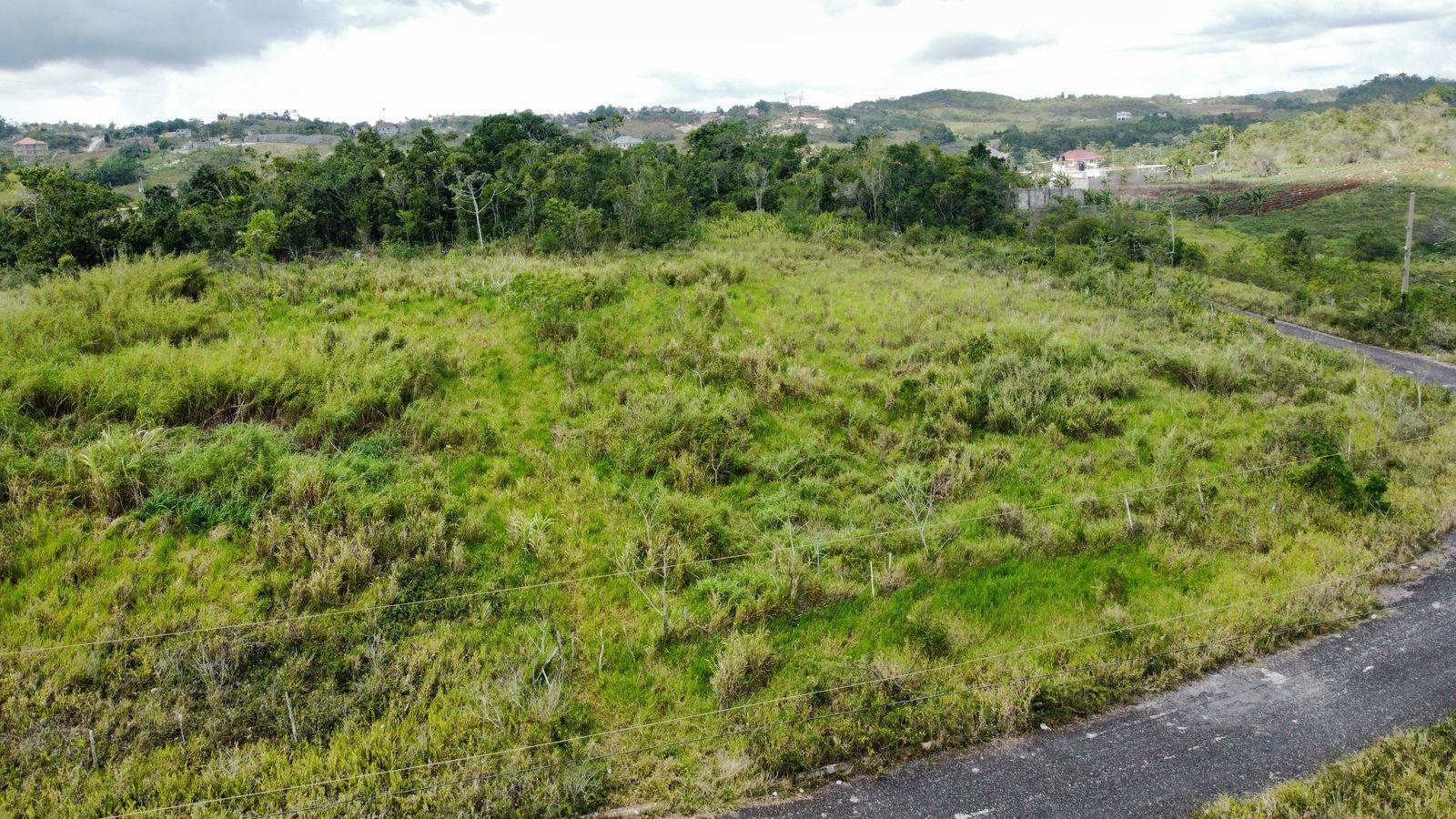First image of Lot 413 New Wales in Mandeville, Manchester, Jamaica - property is For Sale