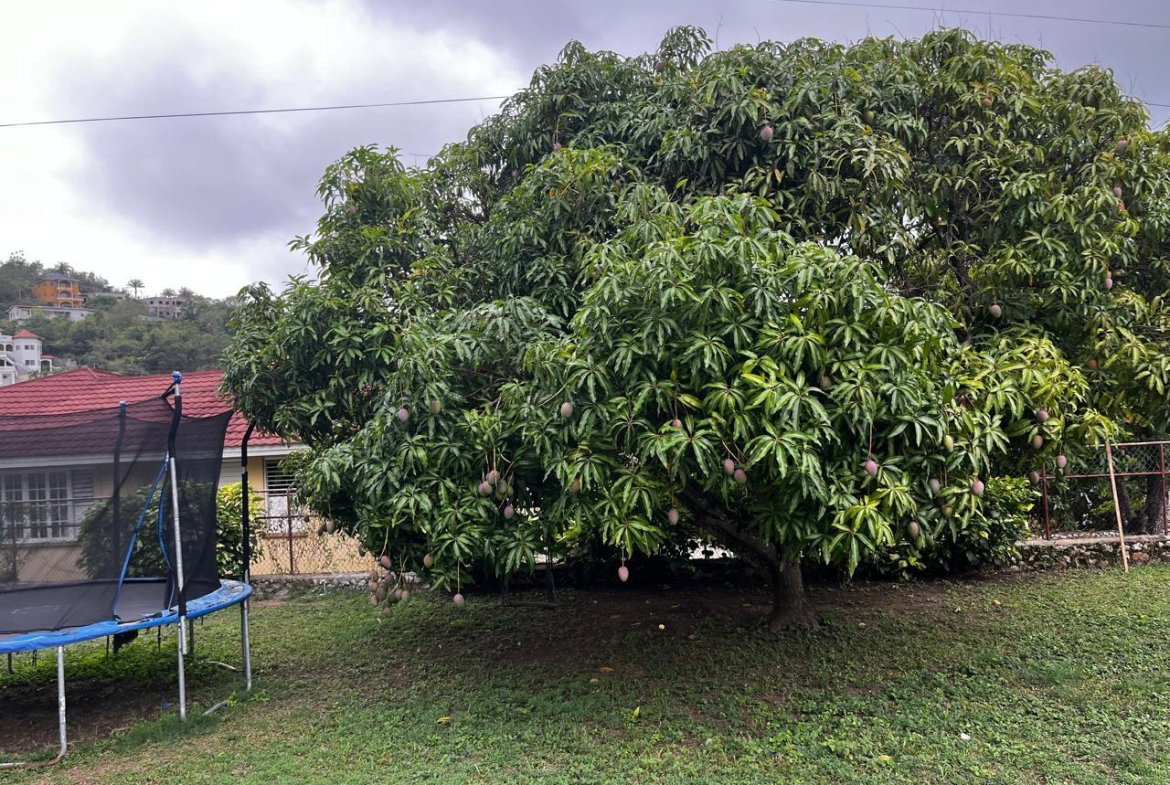 Fourteenth image of Unit 2-85 Happy Grove Road in Kingston 19, St. Andrew, Jamaica - property is For Rent
