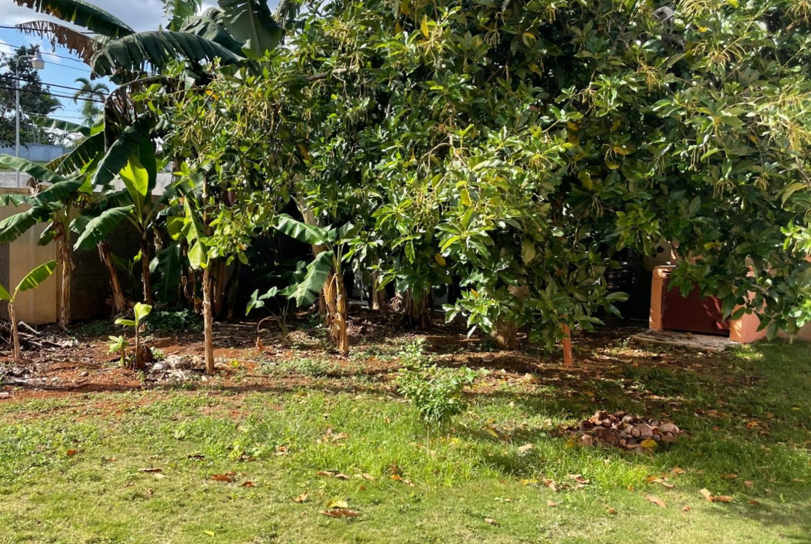 Eighteenth image of Lot #3 Harriott Meadows, Mandevi in Mandeville, Manchester, Jamaica - property is For Rent