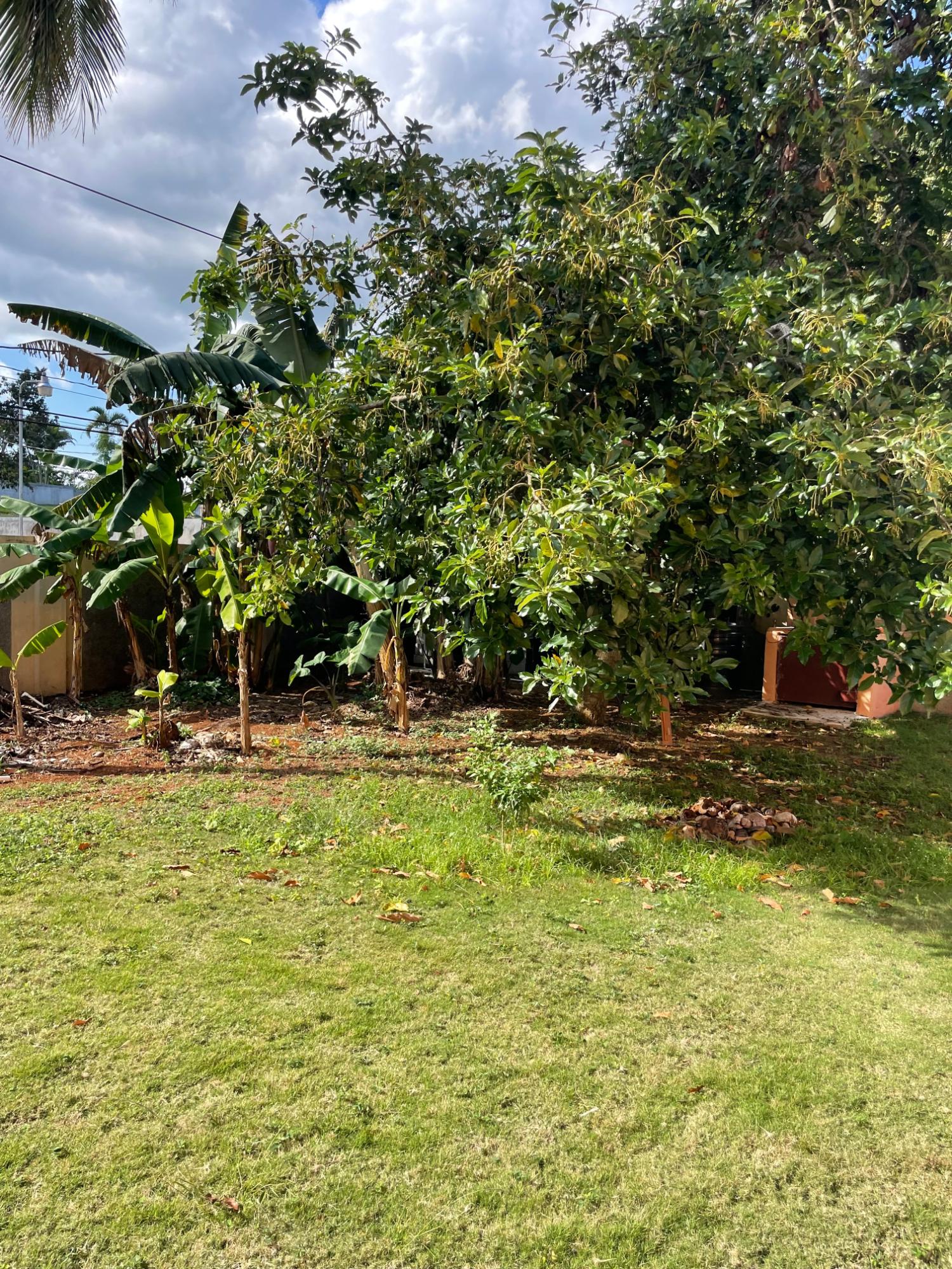 Eighteenth image of Lot #3 Harriott Meadows, Mandevi in Mandeville, Manchester, Jamaica - property is For Rent