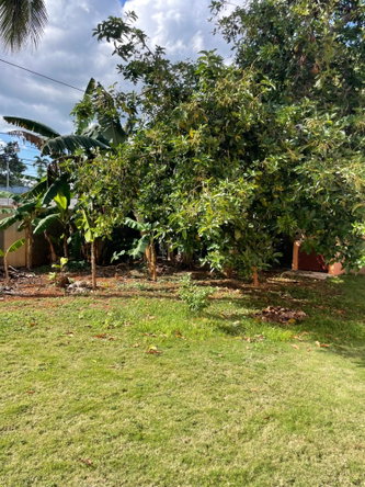 Eighteenth image of Lot #3 Harriott Meadows, Mandevi in Mandeville, Manchester, Jamaica - property is For Rent