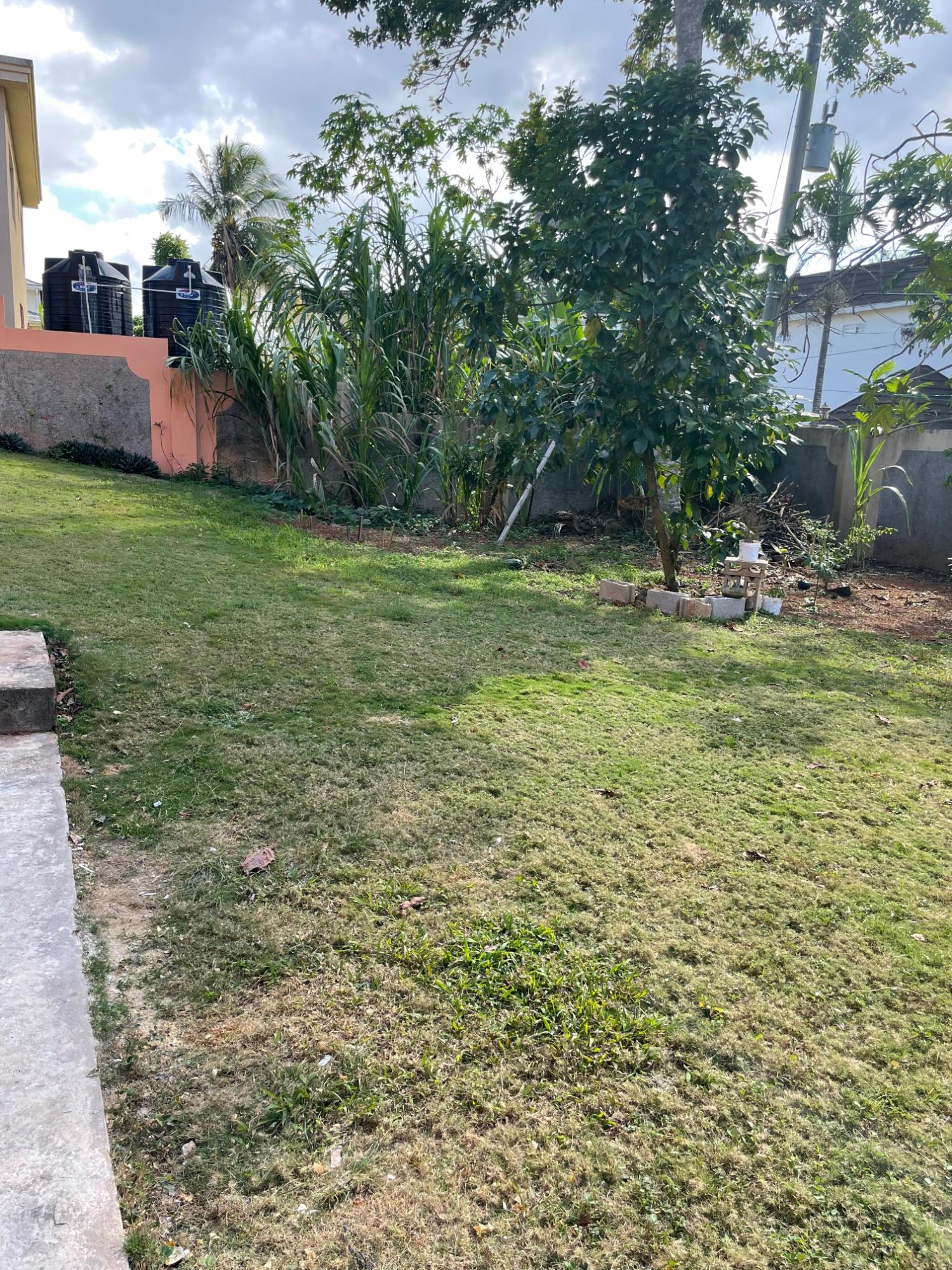 Nineteenth image of Lot #3 Harriott Meadows, Mandevi in Mandeville, Manchester, Jamaica - property is For Rent