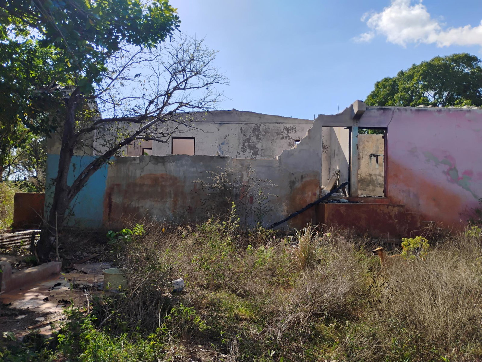 Second image of Lititz in Watson Hill, Manchester, Jamaica - property is For Sale