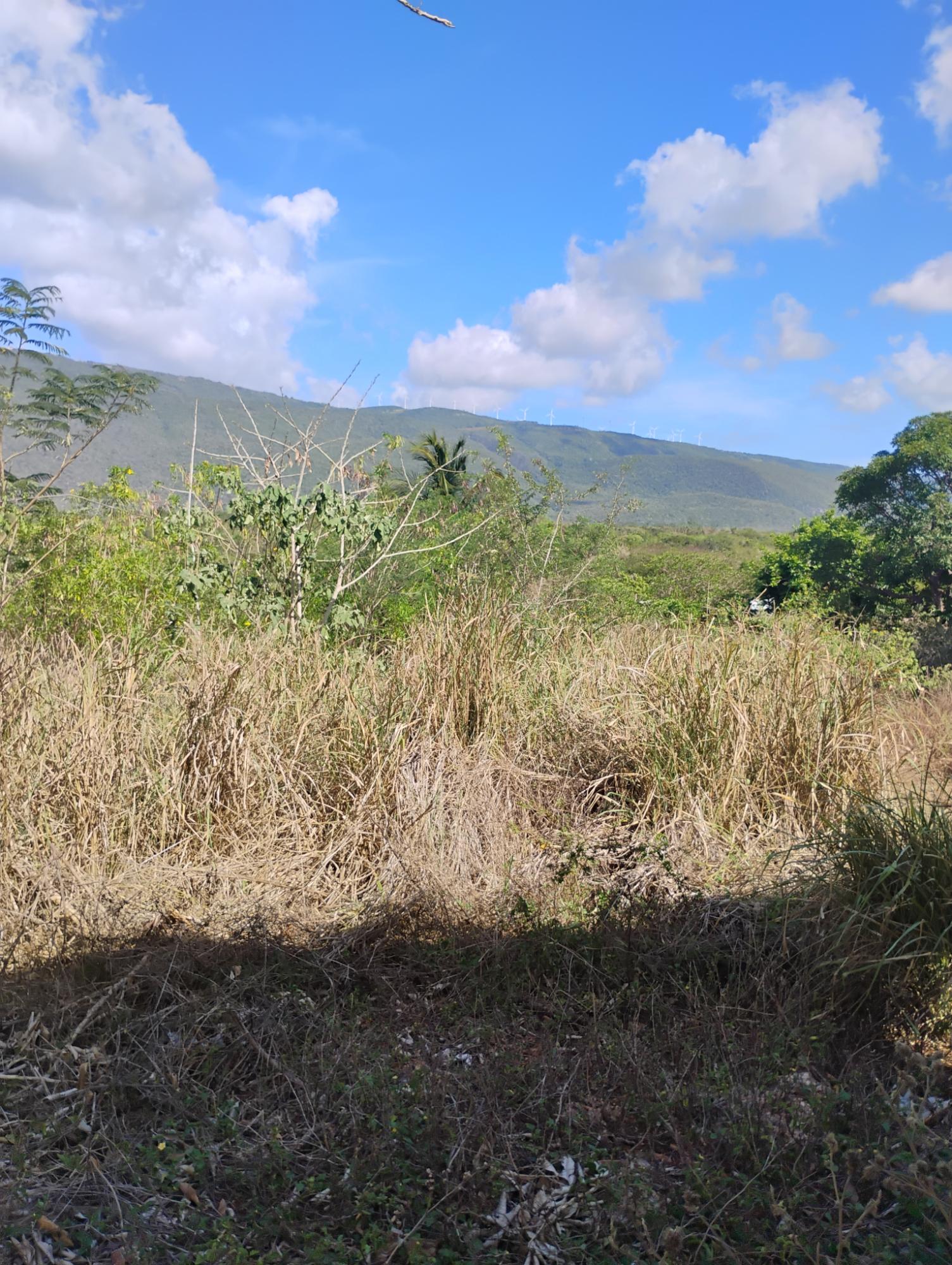 Fourth image of Lititz in Watson Hill, Manchester, Jamaica - property is For Sale