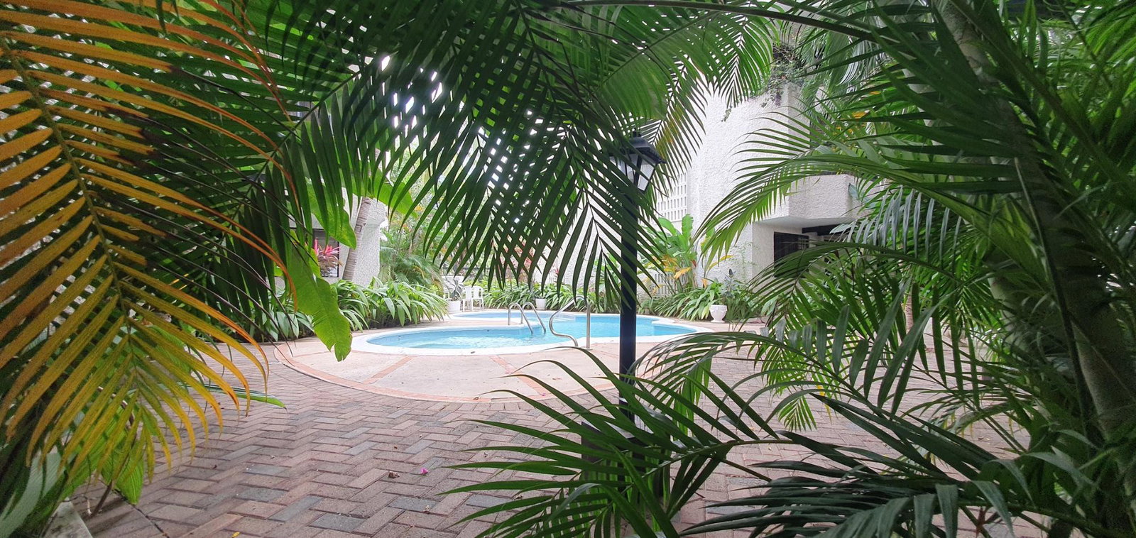 Second image of 1 Caribbean Close in Kingston 5, St. Andrew, Jamaica - property is For Rent
