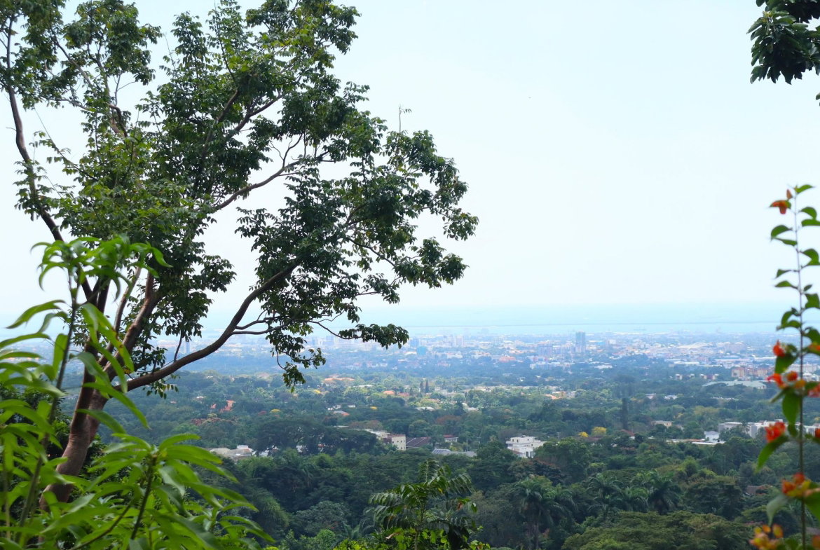 First image of 16 Bridgemount Heights, King in Constant Spring P.O., St. Andrew, Jamaica - property is For Sale