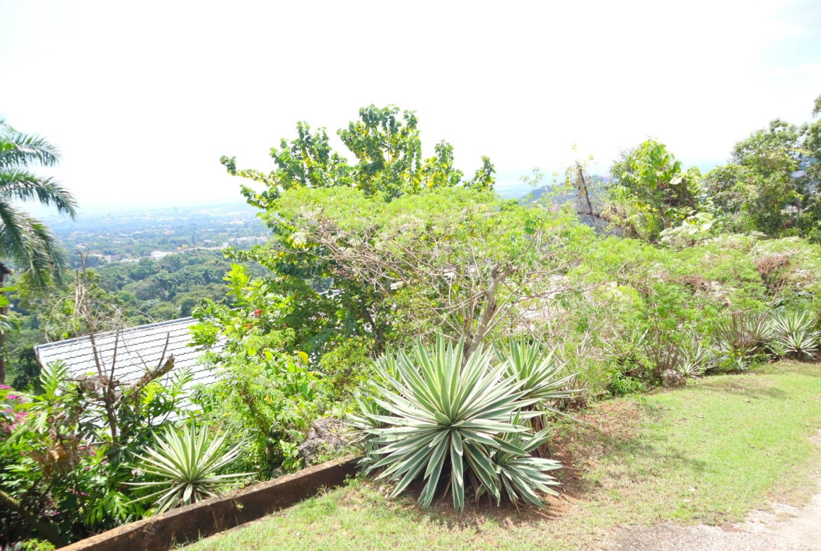 Third image of 16 Bridgemount Heights, King in Constant Spring P.O., St. Andrew, Jamaica - property is For Sale