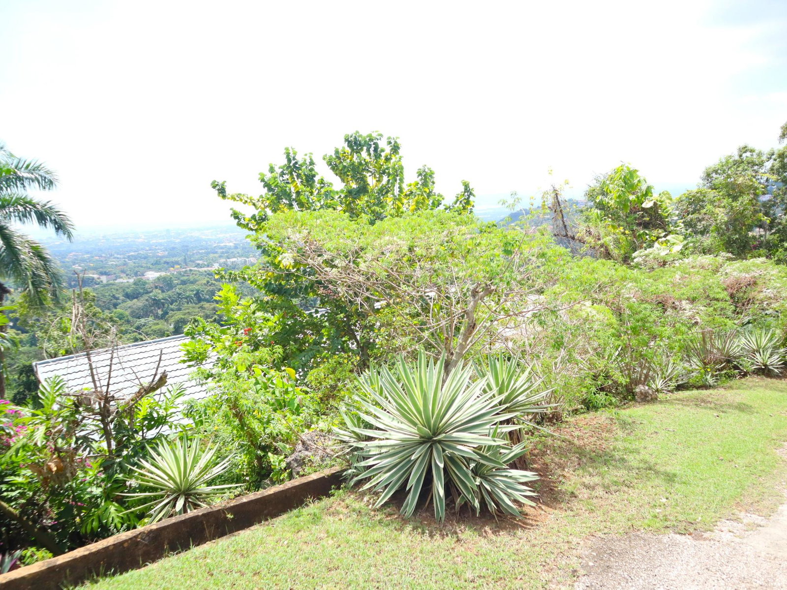 Third image of 16 Bridgemount Heights, King in Constant Spring P.O., St. Andrew, Jamaica - property is For Sale