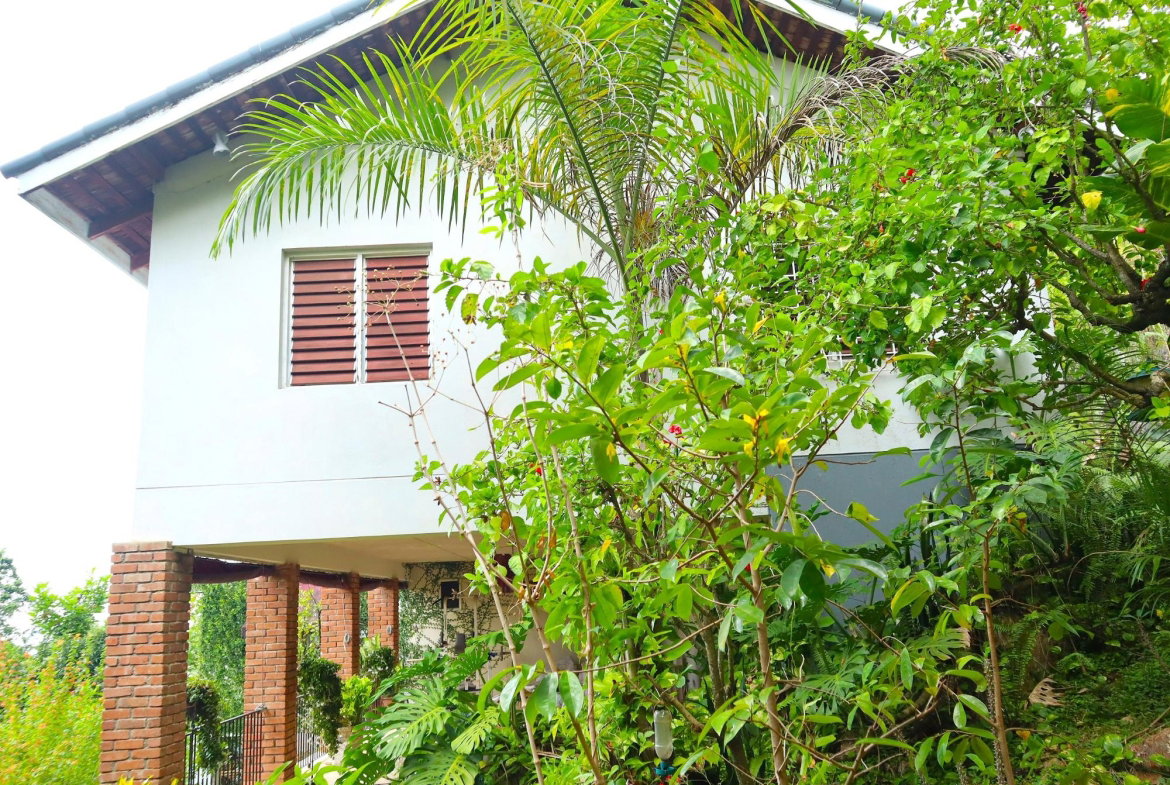 Fifth image of 16 Bridgemount Heights, King in Constant Spring P.O., St. Andrew, Jamaica - property is For Sale