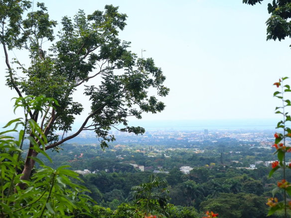 First image of 16 Bridgemount Heights, King in Constant Spring P.O., St. Andrew, Jamaica - property is For Sale