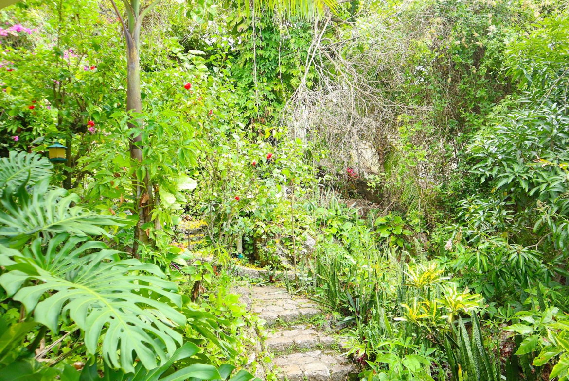 Seventh image of 16 Bridgemount Heights, King in Constant Spring P.O., St. Andrew, Jamaica - property is For Sale