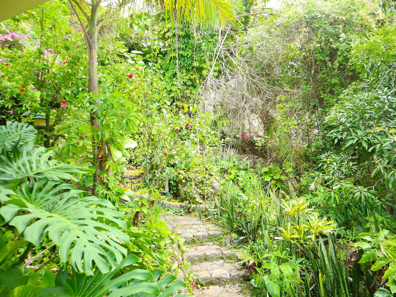 Seventh image of 16 Bridgemount Heights, King in Constant Spring P.O., St. Andrew, Jamaica - property is For Sale