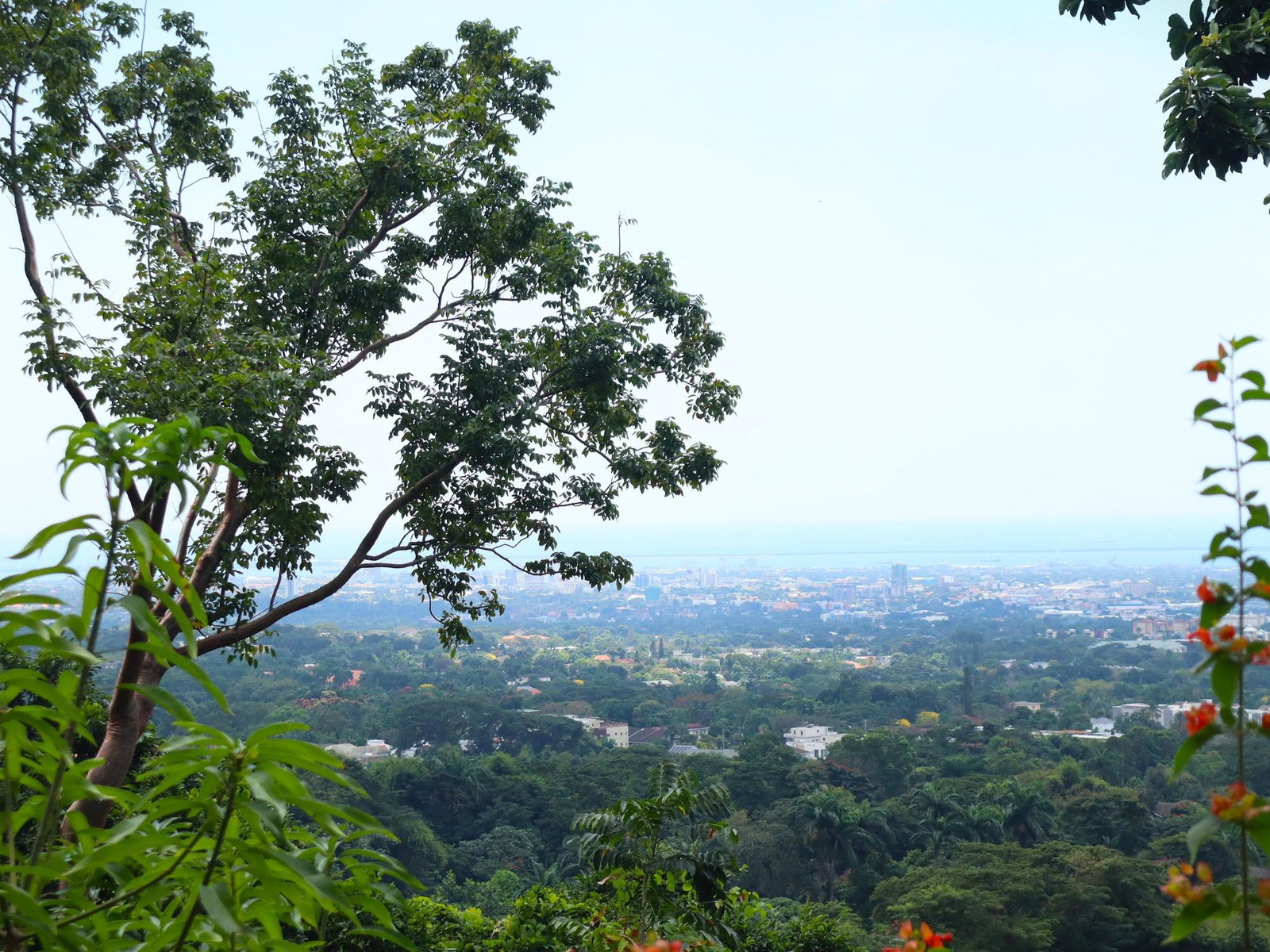 First image of 16 Bridgemount Heights, King in Constant Spring P.O., St. Andrew, Jamaica - property is For Sale